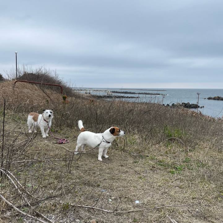 F55ee48f 15ce 4f08 90d9 c4d7fcd75cd9 1744412598062