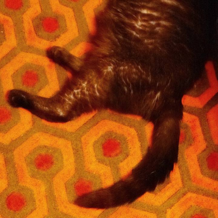 F55ef526 e4e3 4203 b3c2 5e5e04d36b1b 1626445366366