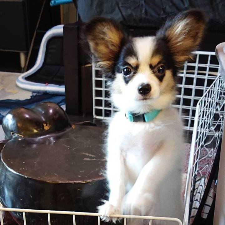 F55efef6 b8b1 4aa8 86a7 37af73a94d64 1597667015676