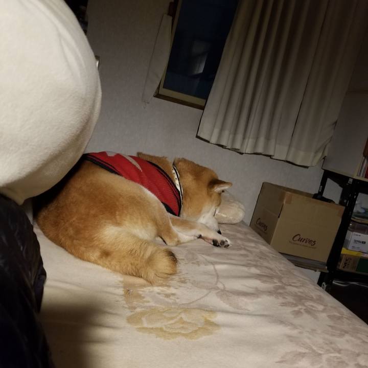 F55f12e7 f8a5 4ed9 a675 9c2eee094620 1608113992695