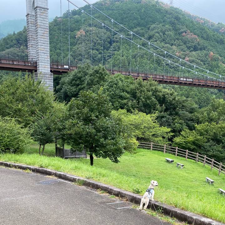 F55f3dbf aa47 4f21 b468 2c3037559fab 1598168495204