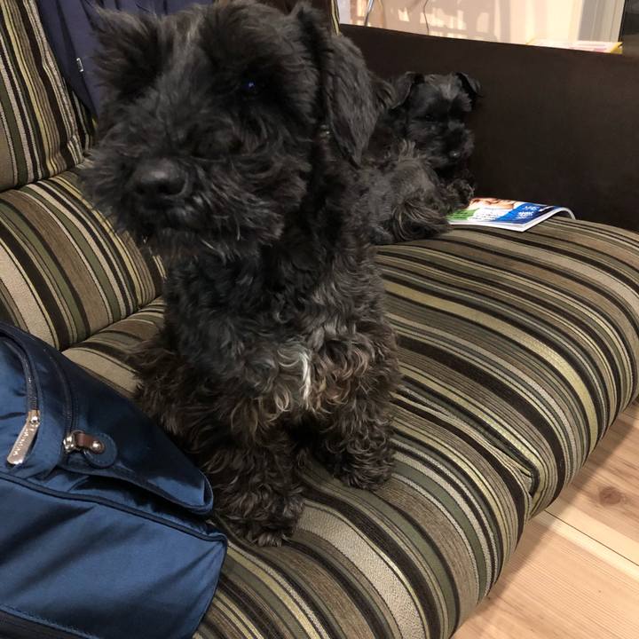 F55f4b2c 2b42 4fcb bc24 22a34a764334 1522358633787