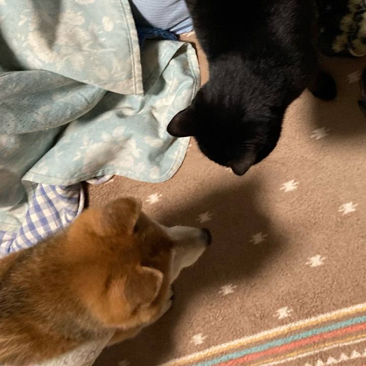 F55fa9f8 891b 41f5 b48f 1f45919ccc5e 1773231238579