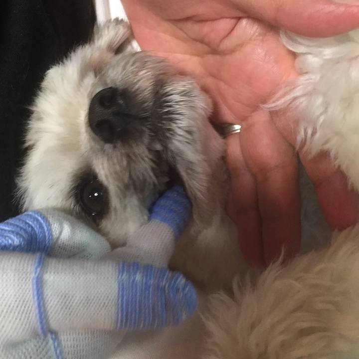 F55ff1d7 ff44 4daf 9a1a f61c52db6e4b 1559475810556