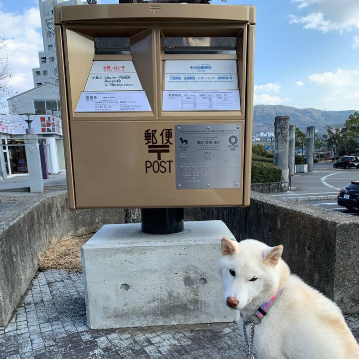 F5601618 c273 4bff a2a6 21d0be3050be 1643345813236