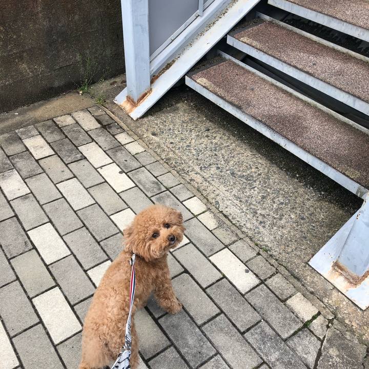 F56029d0 e676 4895 899c 6178958fee00 1587364033331