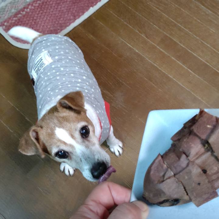 F5603d35 e603 4044 9d98 ae6980c57217 1767851315847