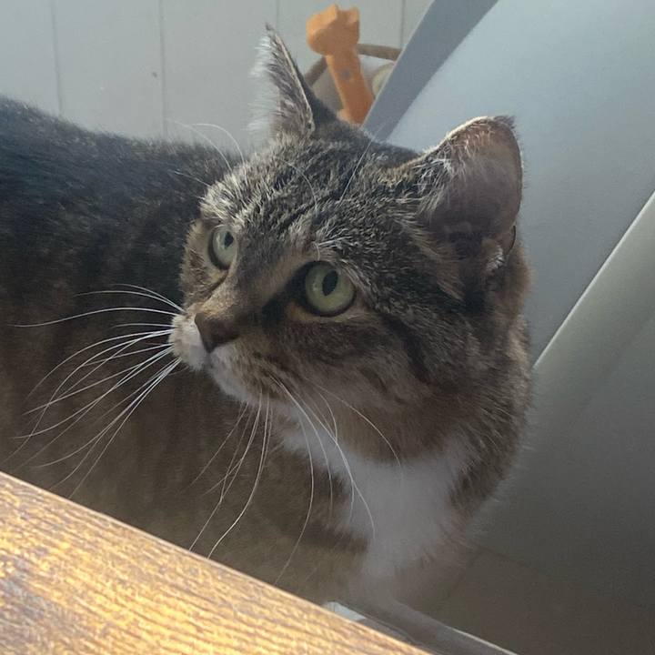 F56073cb fb48 40ae a957 ab31ceefe8c9 1771044205549