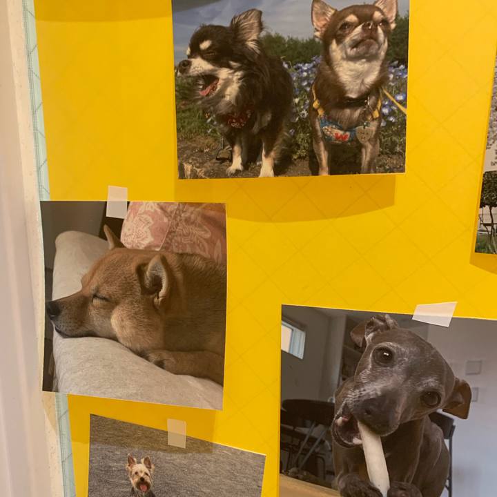 F56088e0 e96f 4eda 9703 2fae1f6b681b 1774169723558