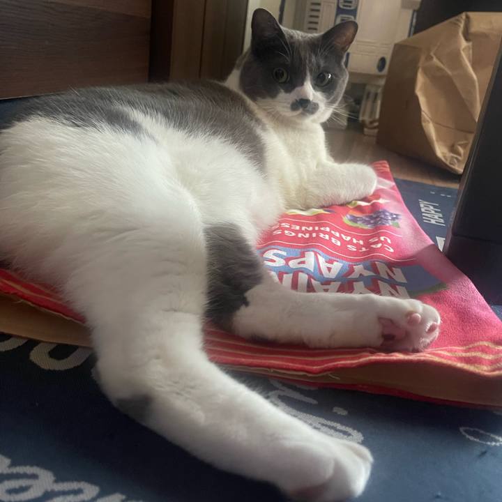 F560fce3 d502 49bb 9c88 93043f1917db 1721254862355