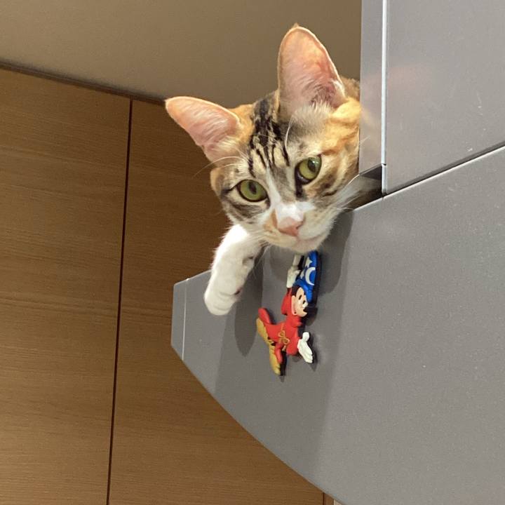 F56102fd 7456 48c1 97a6 a3c68f266f0f 1668899991374