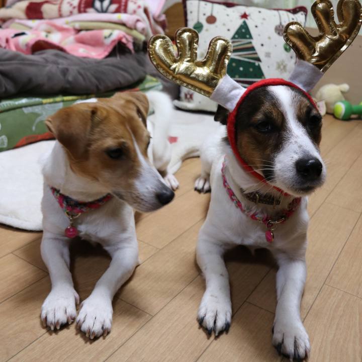 F56134f2 56d6 4a56 985f 5ffe27b9e0cd 1514031720544