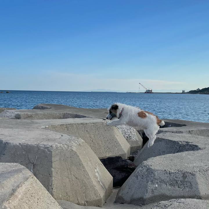 F5618943 d3d0 4cf6 a044 adcdb6552d6a 1632872015024