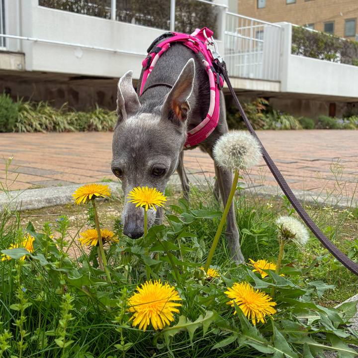 F561f2e5 3d8a 4d2e b60e 044c41d4f73b 1775903348963