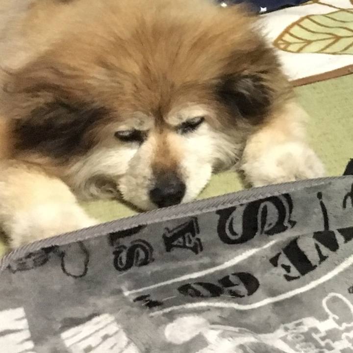 F5620223 5c25 4534 9418 64a73e34b5e1 1607533360072