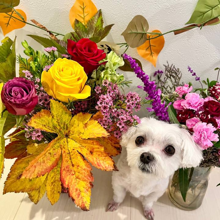 F5621a1a 493f 4ec8 bd61 252addd82157 1667965729272