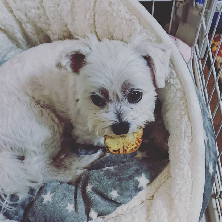 F5625cb9 04cd 480c ae81 89989548d946 1636952812216