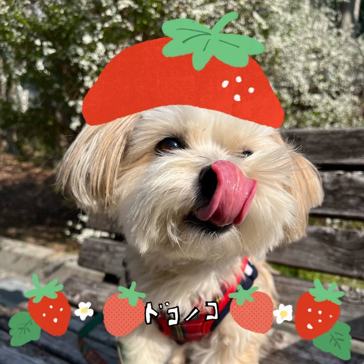 F562e230 d35c 4f1e abc7 6578afbd89dd 1775191253874