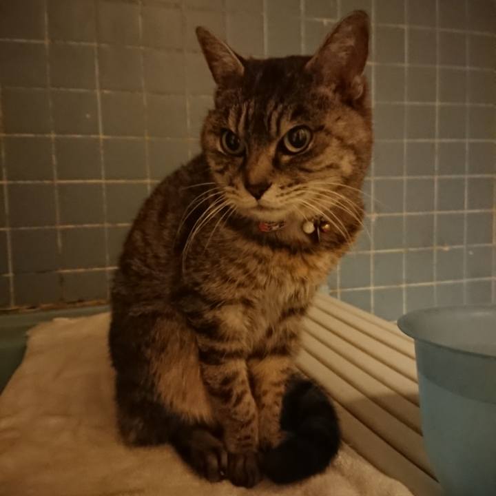 F562e2d1 0d96 48ec a17d a0cd60c834fa 1579684024388