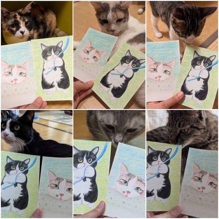 F562e87b f286 4acf bfce e9941c649dfd 1721824185023