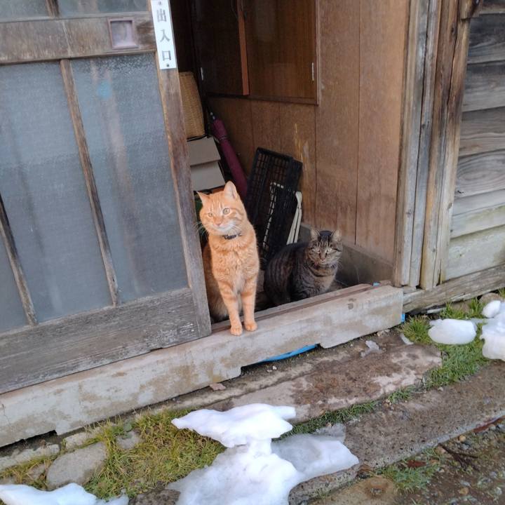 F56314aa d528 44c8 b09f e0c4ea6daab2 1706515062099