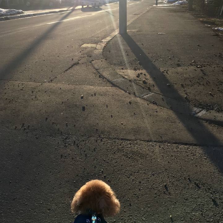 F563497d 1c21 4772 8d28 c255f6503c92 1524053587053