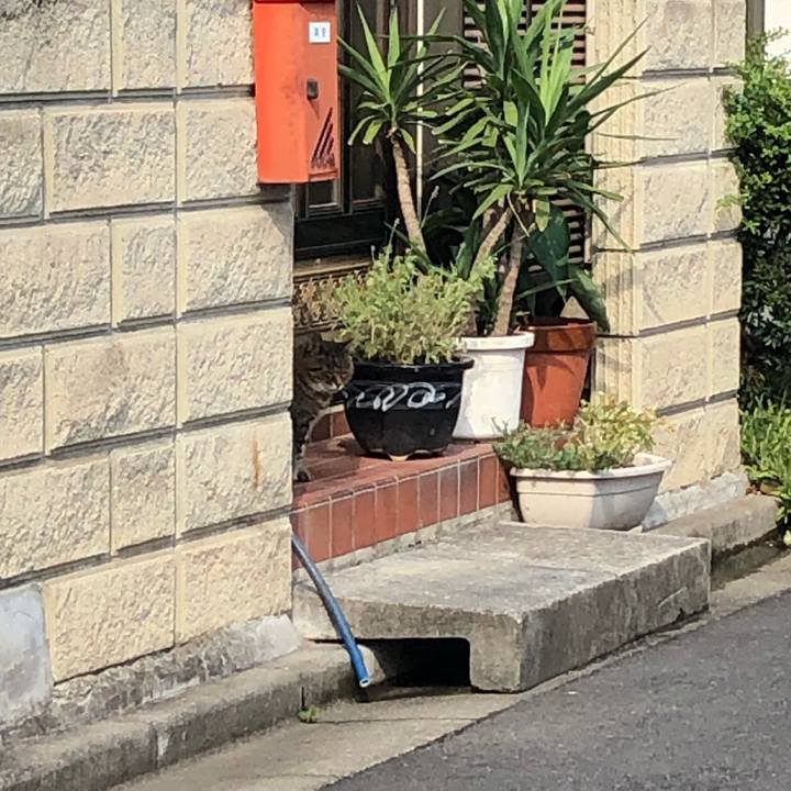 F563800d 1624 4606 8233 235198312947 1657335475677