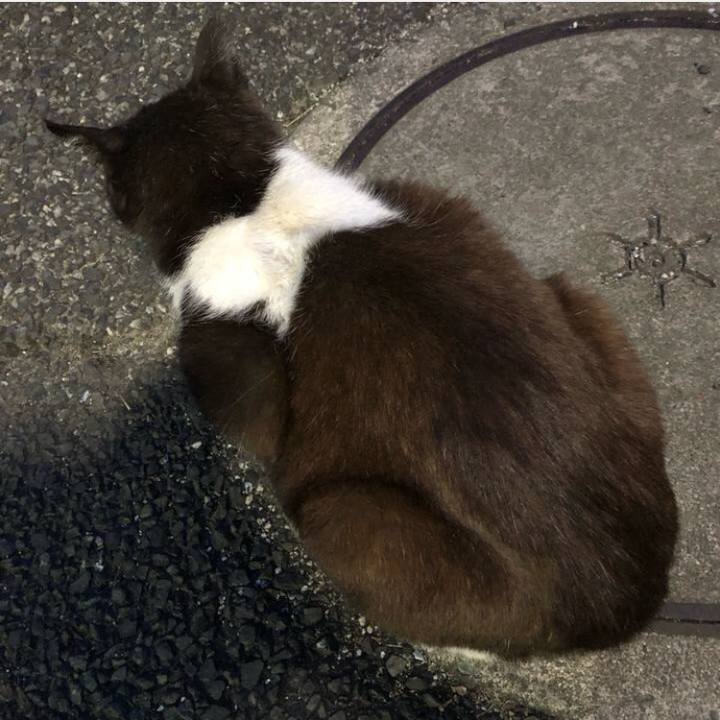 F563b862 8d02 4879 8a38 2ea13869deb2 1563108413114