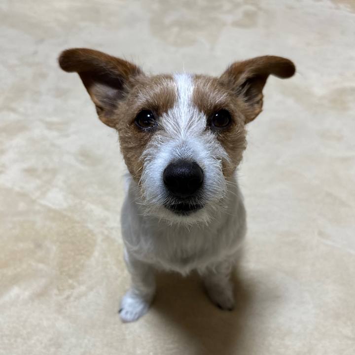 F563b90b 5df0 4d78 a6f2 38a2def9a931 1771884174338