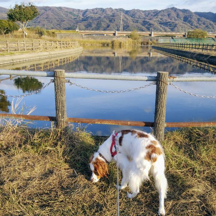 F563c2af 69d0 4e0b 88fb 5899c084c007 1544443884032