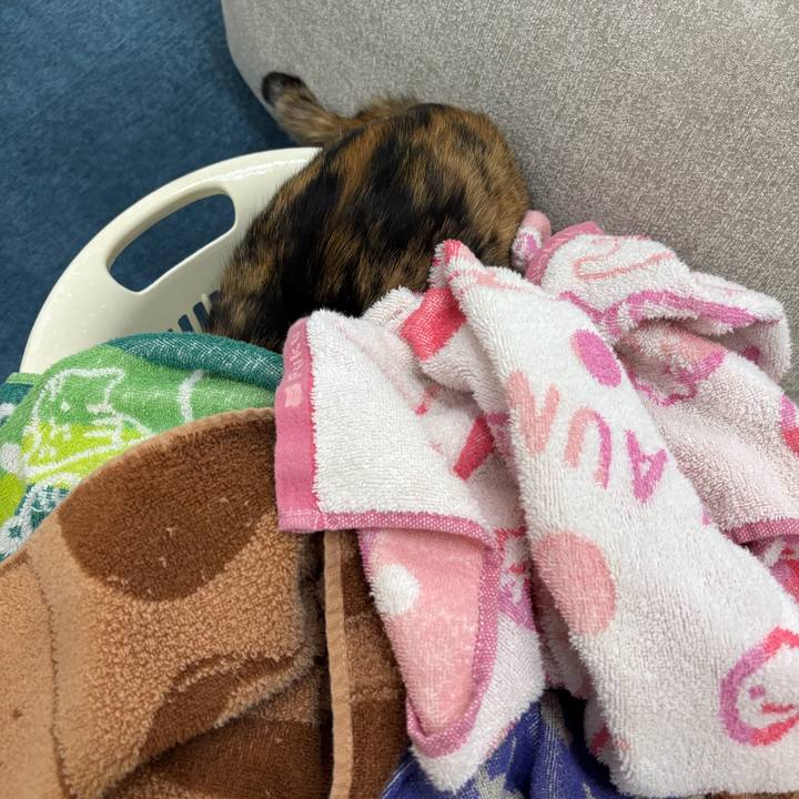 F563c52c 8d61 4f8b 96a8 f0ce260770e7 1771383544808