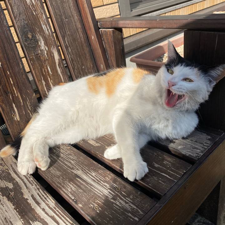 F563c77d 2ea5 46ba a328 31dbdb36c8d0 1641636723575