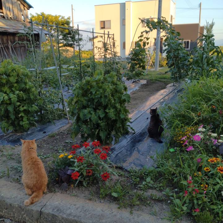 F563ce57 4020 4530 b7a7 56a00b21376d 1689588887790