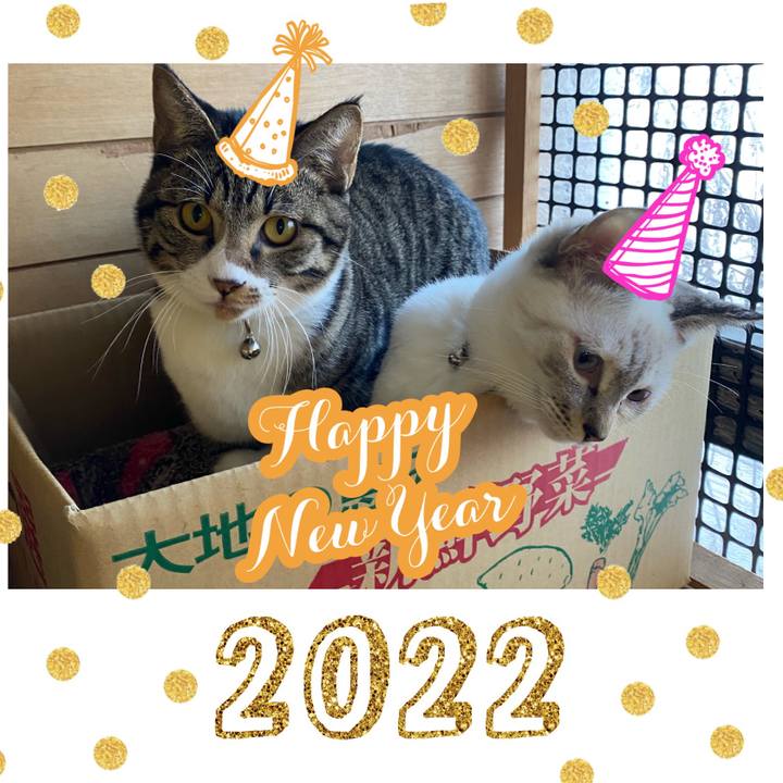 F563e502 35cc 42ba 89d4 318a109fbef5 1641004107255