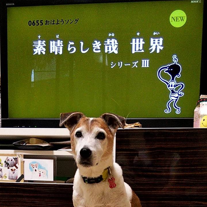 F5646924 82e6 42dc 8b1c e7bdfbccaa72 1594076943085