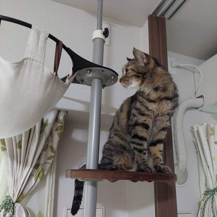 F564901c 63e7 43cb b080 7262960b76ae 1662679282355