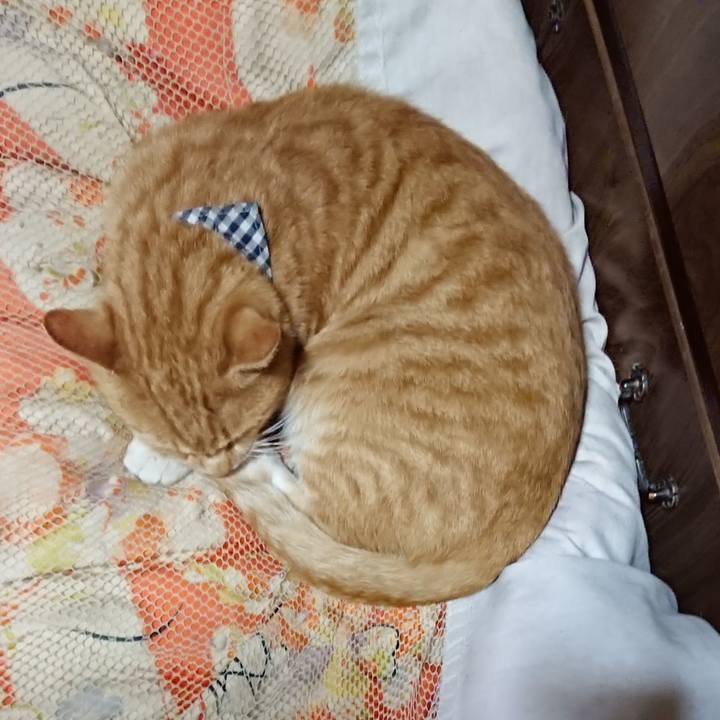 F564984f 06b7 4552 948c 63477900eb0a 1570707940782