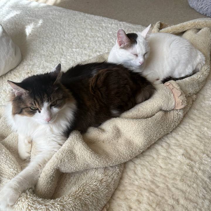 F5649baf 7401 4a09 9f51 d844a1301fcd 1739403552164