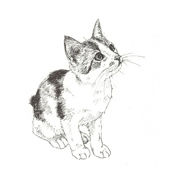 F5649ec6 ef20 4cb9 8cc5 b0cba7460430 1560347343392