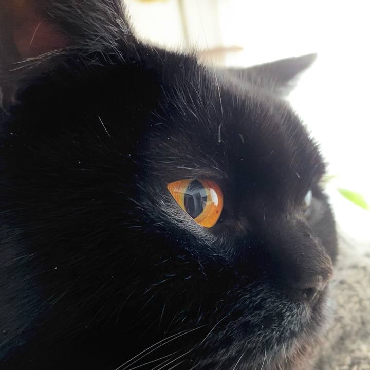 F564a4f4 6ce2 404c b73d 4cc925a1303e 1615410712480