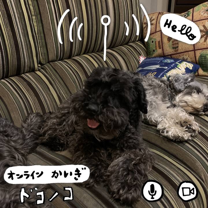 F564c81b 8a9f 4e1b 9c7b c8275b2f0765 1591011288974