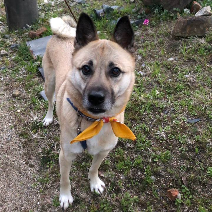 F56517b5 65c6 40b5 8aa3 192d3b19ee3b 1582716168240