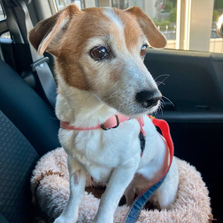 F5651b99 fc61 42ca a9d9 5a8cf6568535 1701567291640