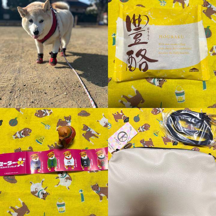 F56539fa 25d2 4508 aa01 137d62246200 1737711660606