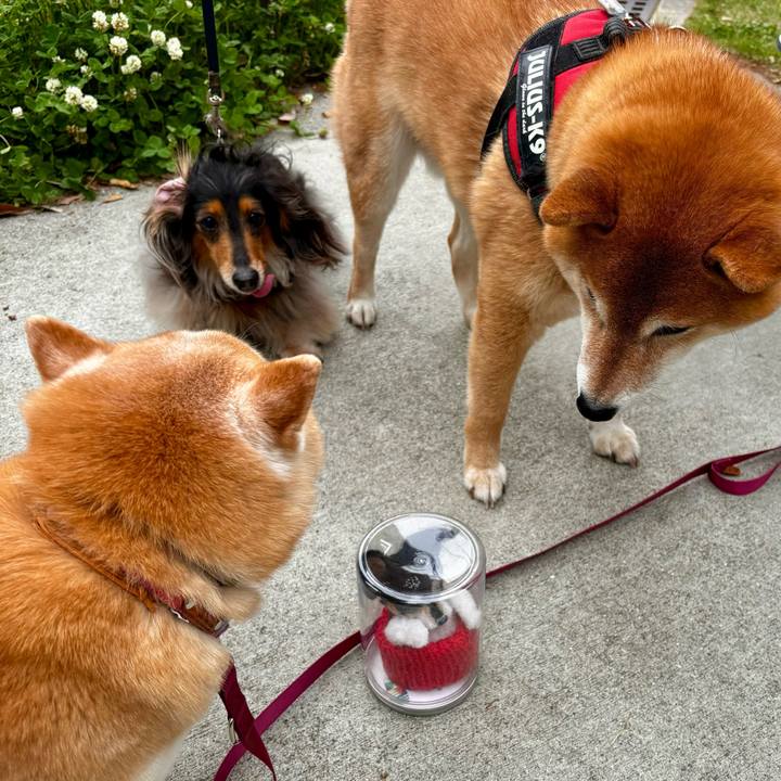 F5656044 ef43 4500 b057 23dc013cfabb 1715498401900