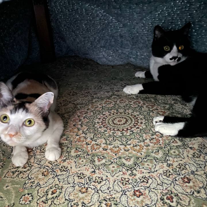 F565c397 b760 42af a5df 73c4debbb059 1734330089659