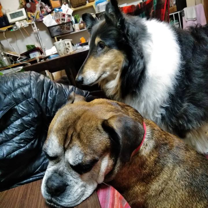 F565c8ce 9196 4b39 ab1f d985895c949f 1519049387824