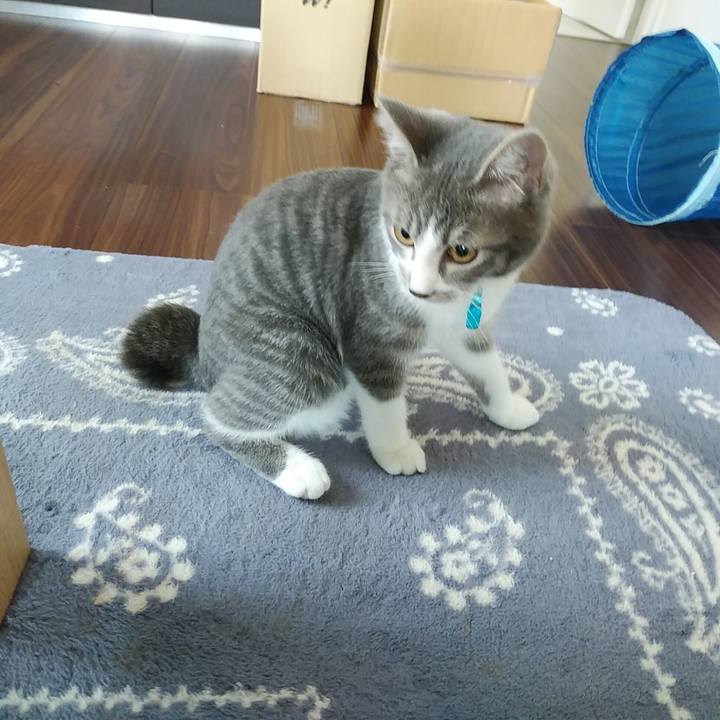 F565da73 ec96 4b3d 9aba 0511dae7c4c0 1568160925928