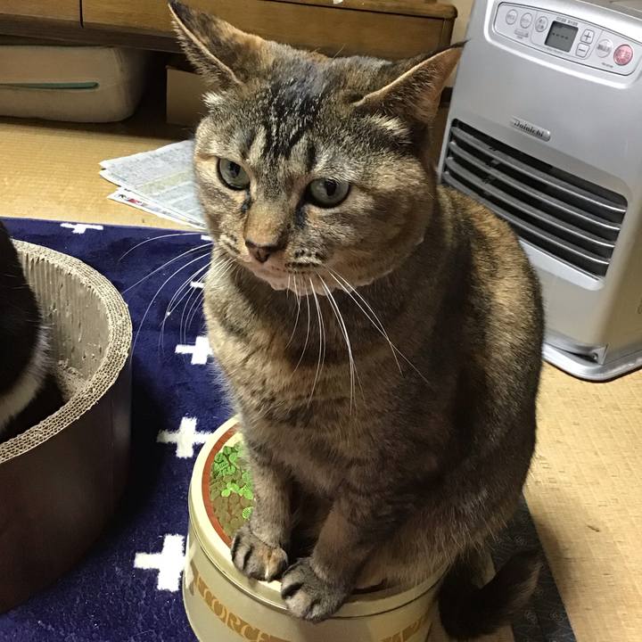 F565fd9b 621c 4ea0 bf8a 1320509e9733 1710241446886