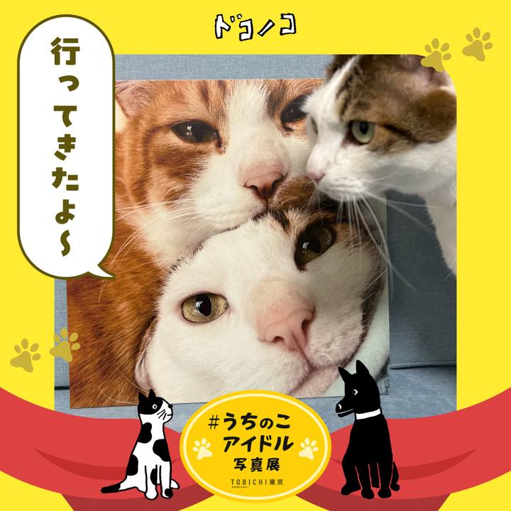 F56615f9 ea99 49ce 9cde eb3730f98c4a 1761744343086